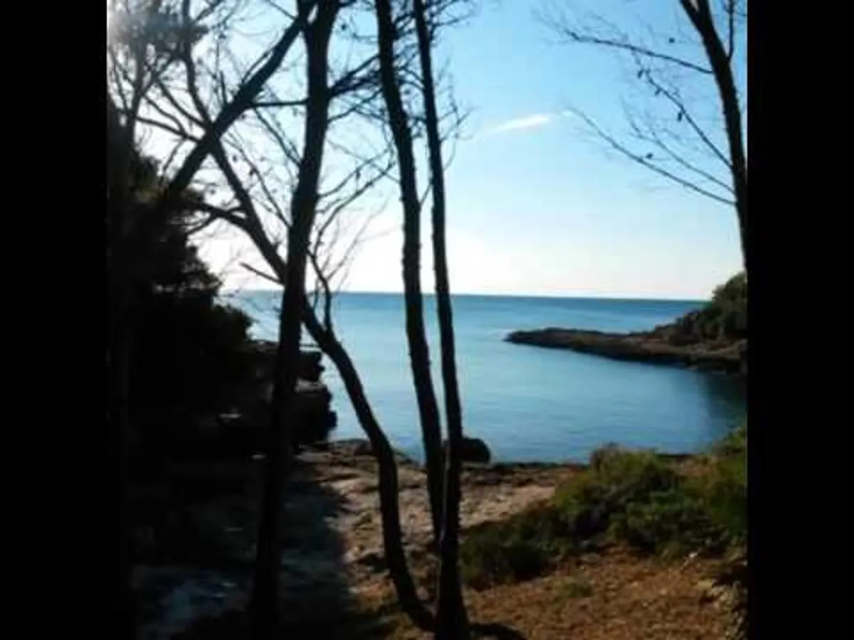 Apartment Apartamento Ramon Y Cajal Bajos L'Ametlla de Mar